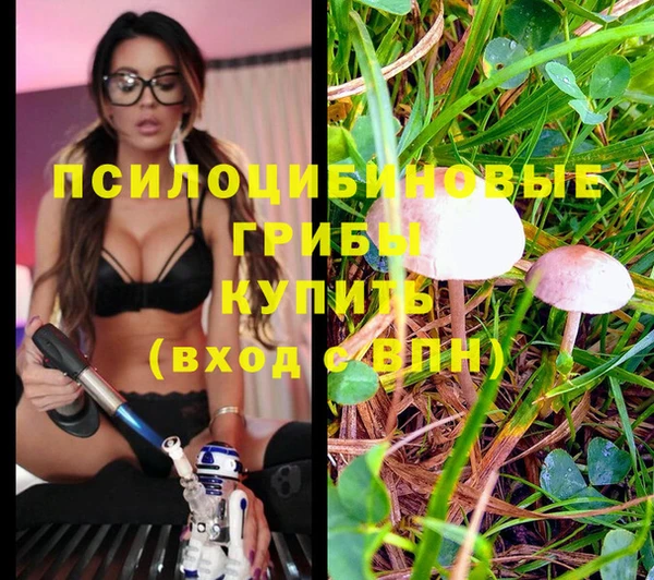 бошки Алексеевка