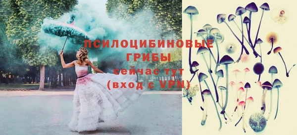 соль курить ск Алзамай