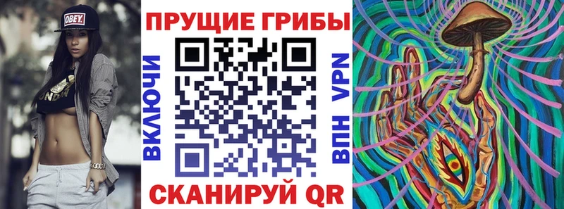 купить наркотики сайты  Шахунья  OMG ссылка  Галлюциногенные грибы Cubensis 